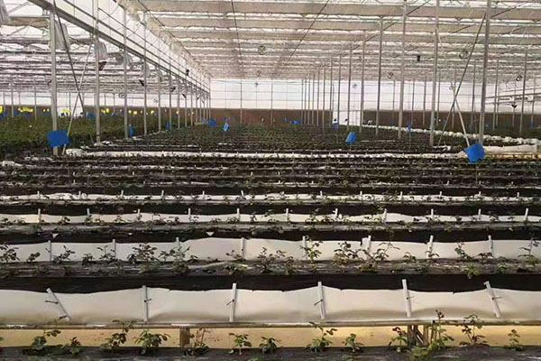盤錦哪里有全降解餐具廠家